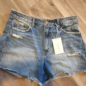 Flying Monkey Shorts